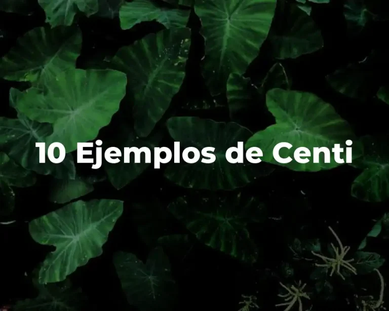 10 Ejemplos de Centi