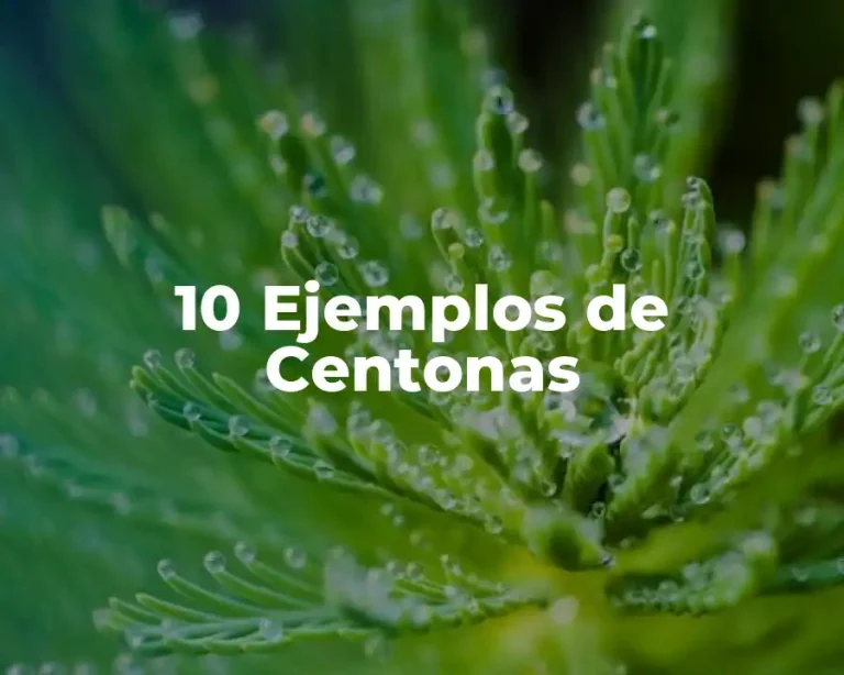 10 Ejemplos de Centonas