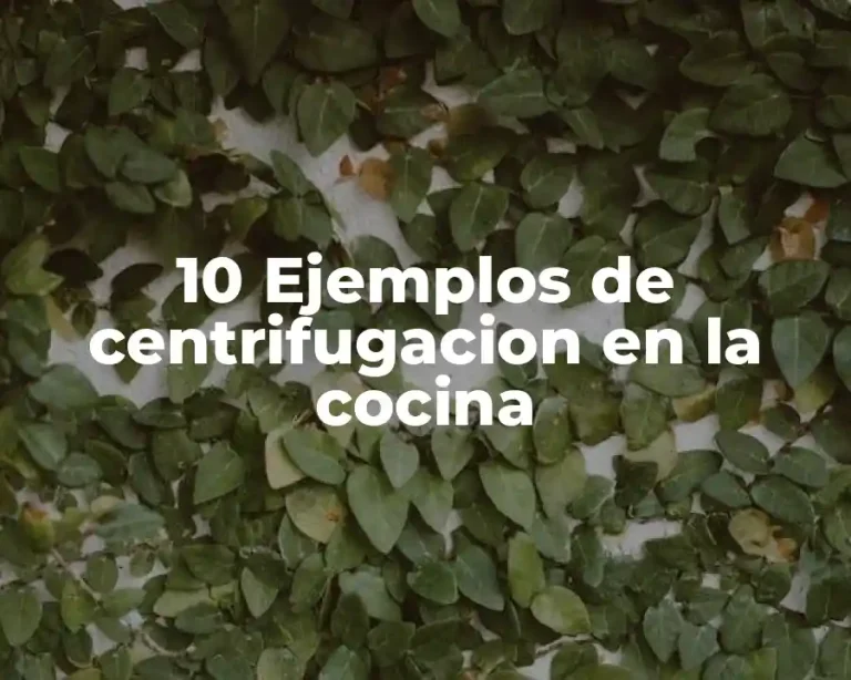10 Ejemplos de centrifugacion en la cocina