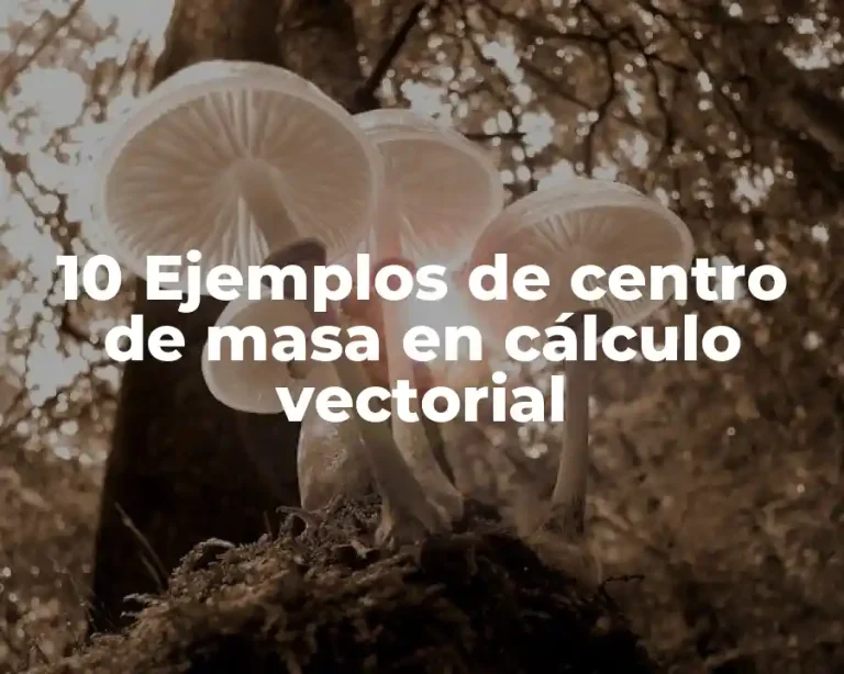 10 Ejemplos de centro de masa en cálculo vectorial