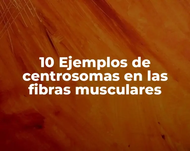 10 Ejemplos de centrosomas en las fibras musculares