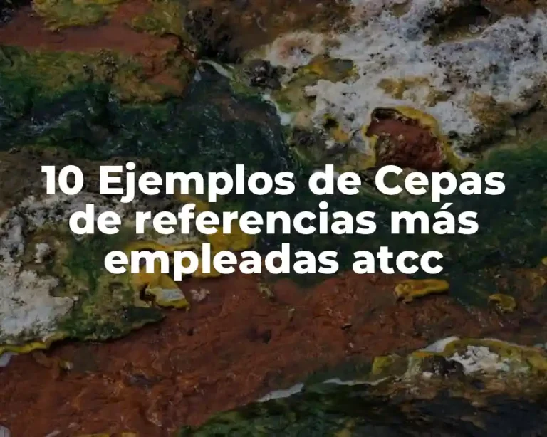 10 Ejemplos de Cepas de referencias más empleadas atcc