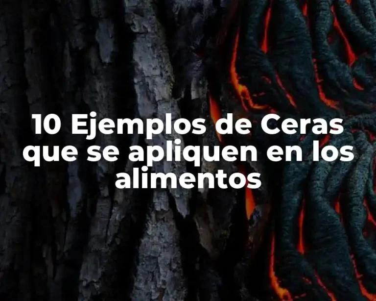 10 Ejemplos de Ceras que se apliquen en los alimentos