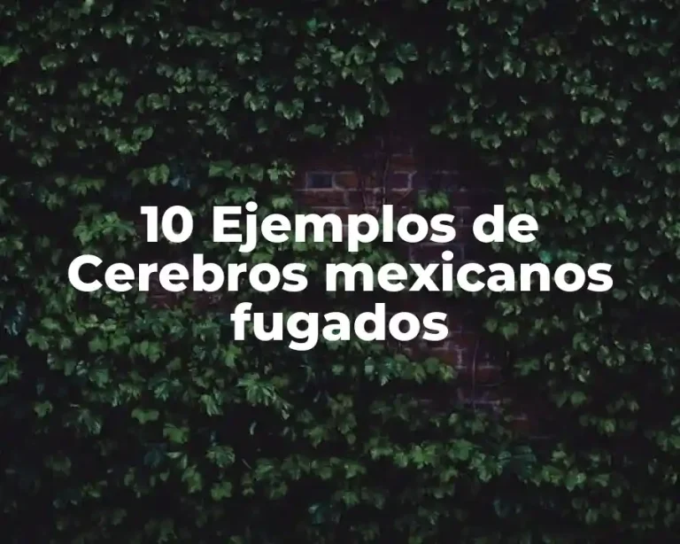10 Ejemplos de Cerebros mexicanos fugados