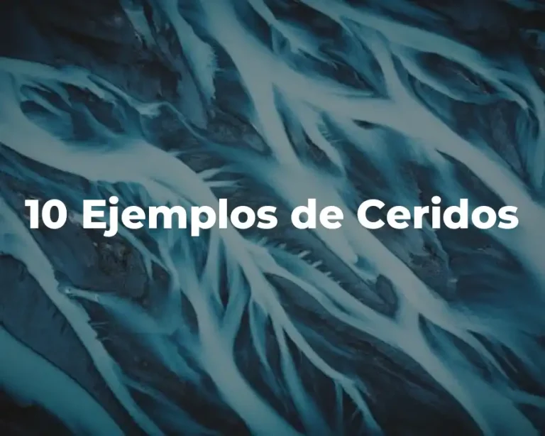 10 Ejemplos de Ceridos