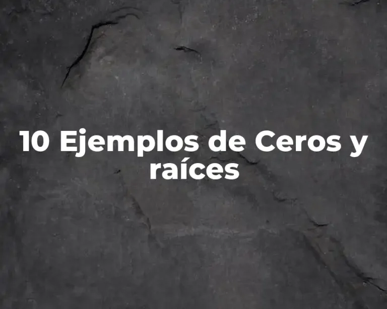 10 Ejemplos de Ceros y raíces