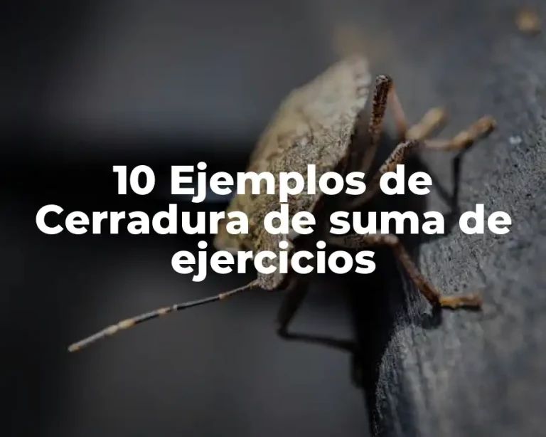10 Ejemplos de Cerradura de suma de ejercicios