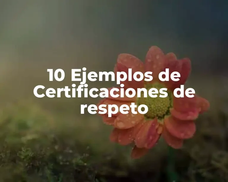 10 Ejemplos de Certificaciones de respeto