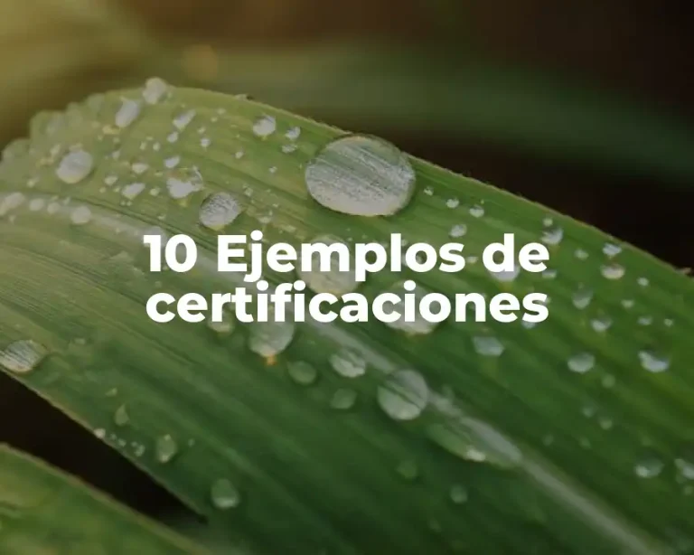 10 Ejemplos de certificaciones