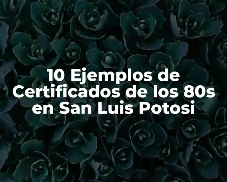 10 Ejemplos de Certificados de los 80s en San Luis Potosi