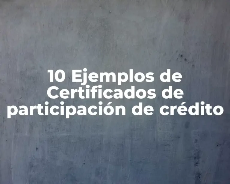 10 Ejemplos de Certificados de participación de crédito