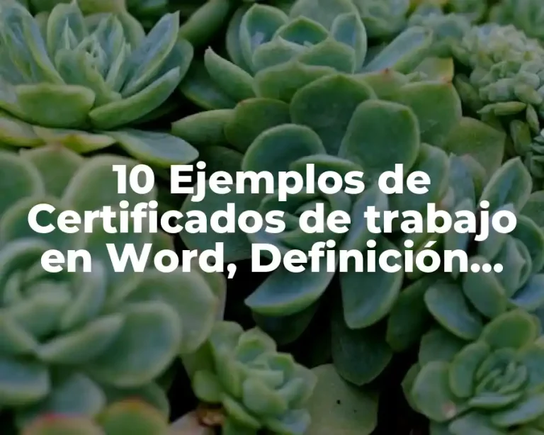 10 Ejemplos de Certificados de trabajo en Word, Definición, Diferencias y para que sirve