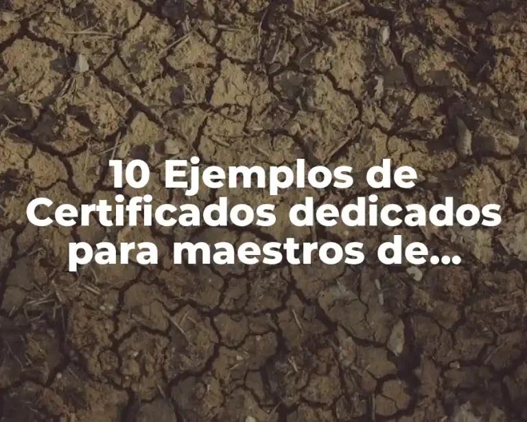 10 Ejemplos de Certificados dedicados para maestros de escuela bíblica