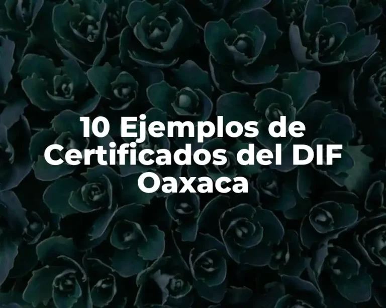 10 Ejemplos de Certificados del DIF Oaxaca