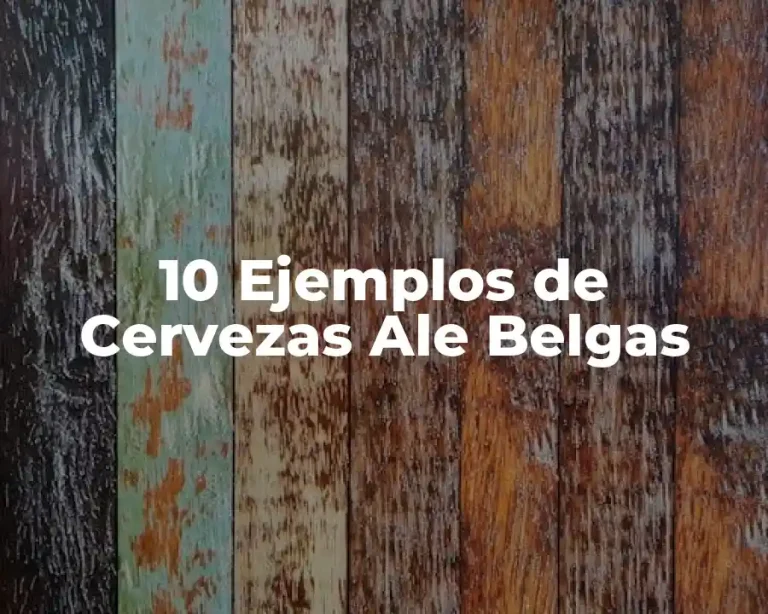 10 Ejemplos de Cervezas Ale Belgas