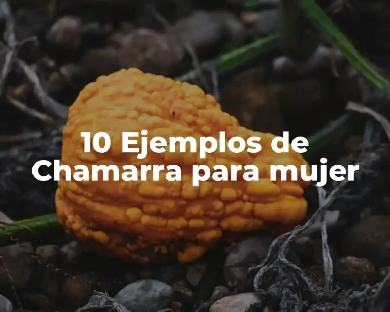 10 Ejemplos de Chamarra para mujer