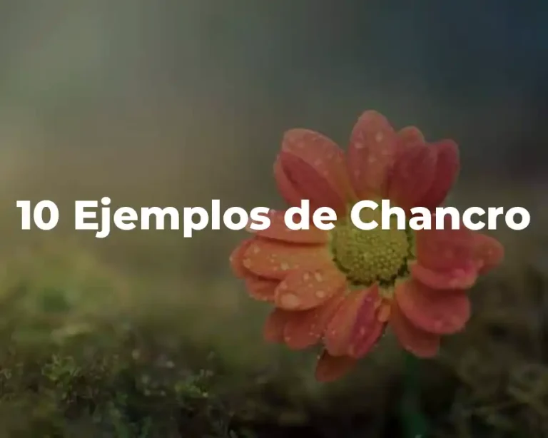 10 Ejemplos de Chancro