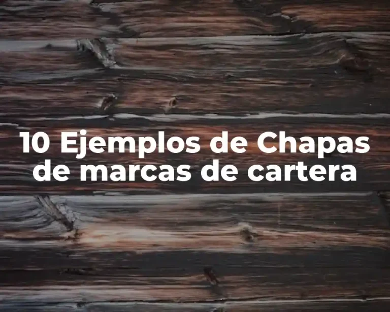 10 Ejemplos de Chapas de marcas de cartera