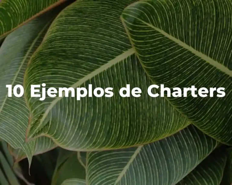 10 Ejemplos de Charters