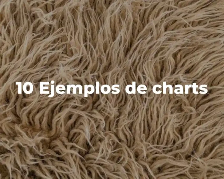 10 Ejemplos de charts