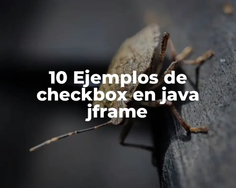 10 Ejemplos de checkbox en java jframe