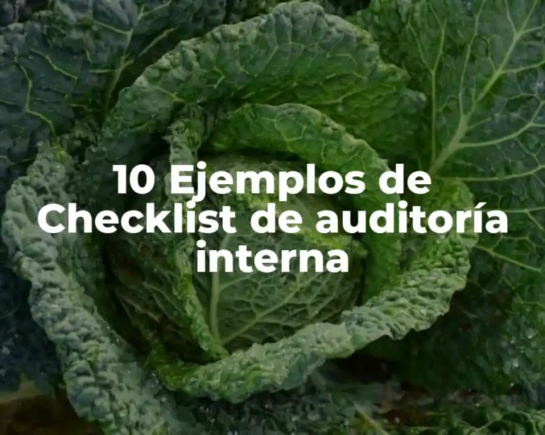 10 Ejemplos de Checklist de auditoría interna