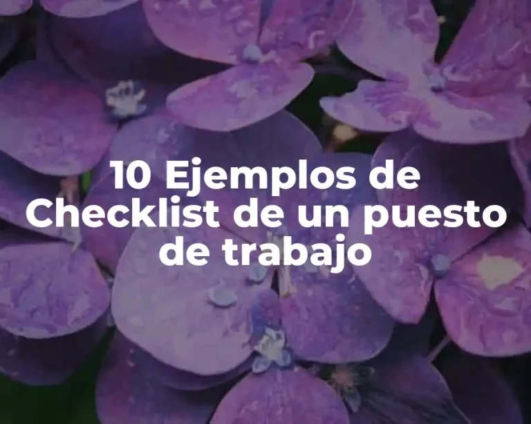 10 Ejemplos de Checklist de un puesto de trabajo
