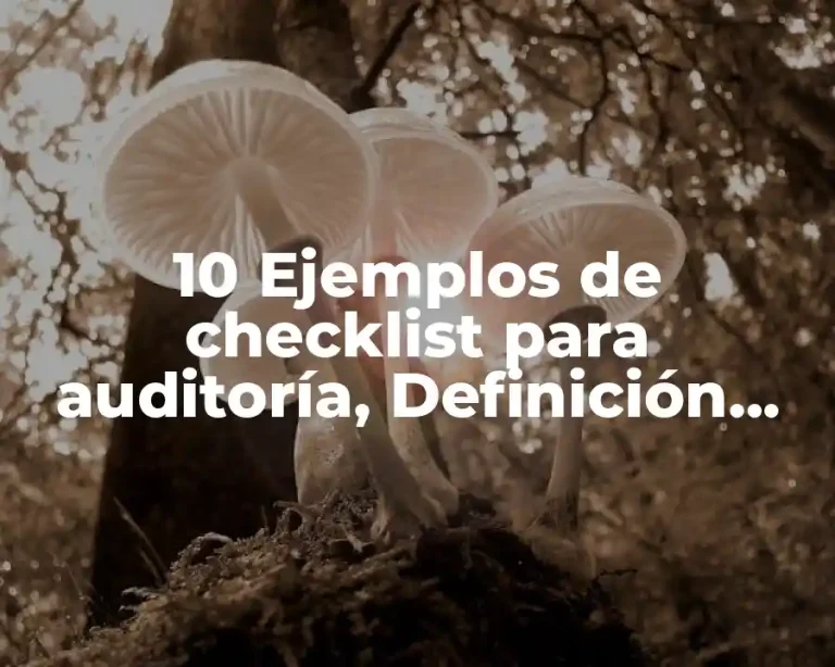 10 Ejemplos de checklist para auditoría, Definición, Diferencias y para que sirve
