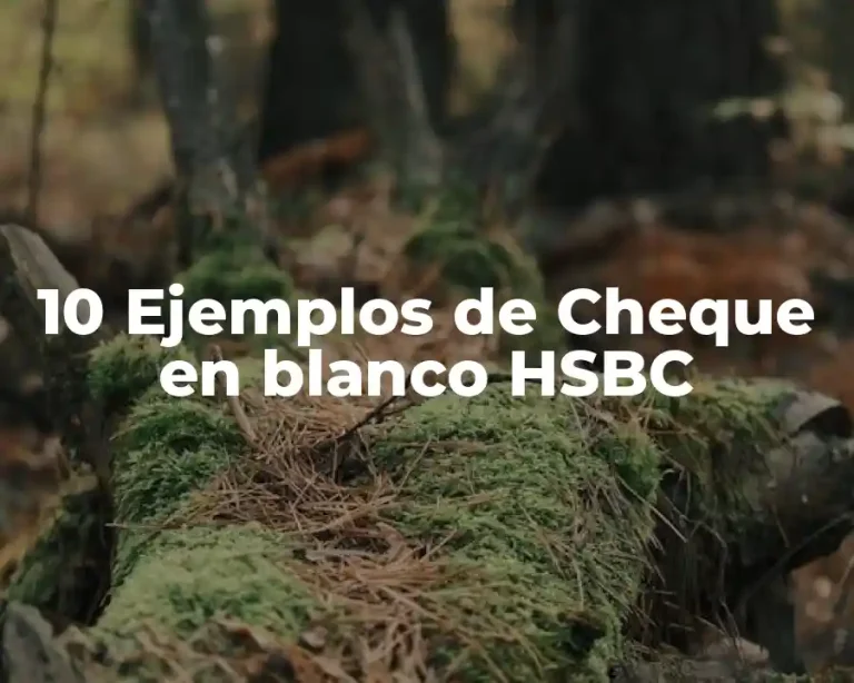 10 Ejemplos de Cheque en blanco HSBC