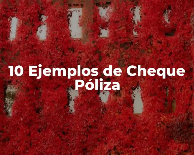 10 Ejemplos de Cheque Póliza