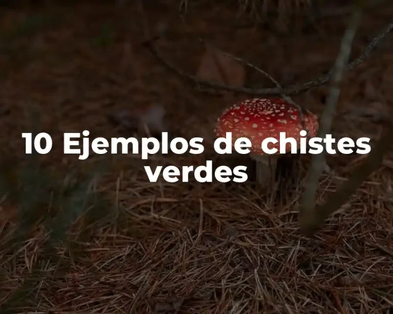 10 Ejemplos de chistes verdes