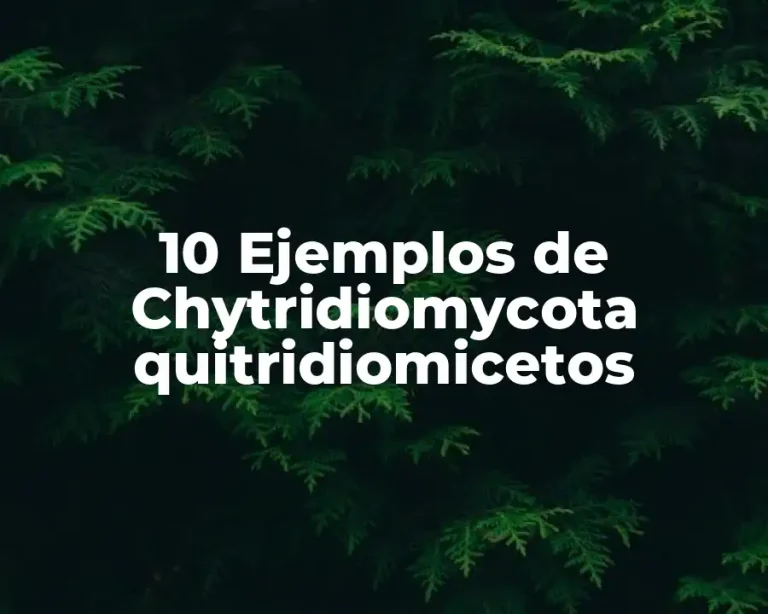 10 Ejemplos de Chytridiomycota quitridiomicetos
