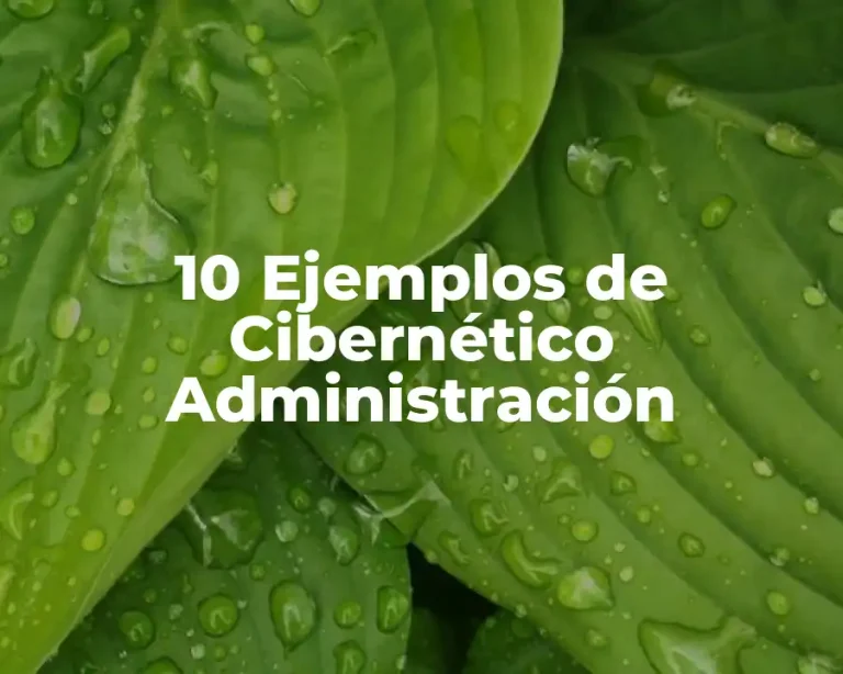 10 Ejemplos de Cibernético Administración