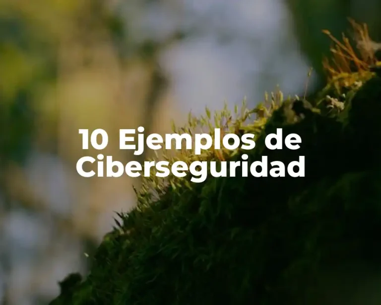 10 Ejemplos de Ciberseguridad