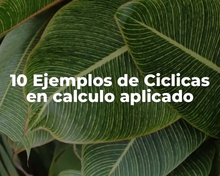10 Ejemplos de Ciclicas en calculo aplicado