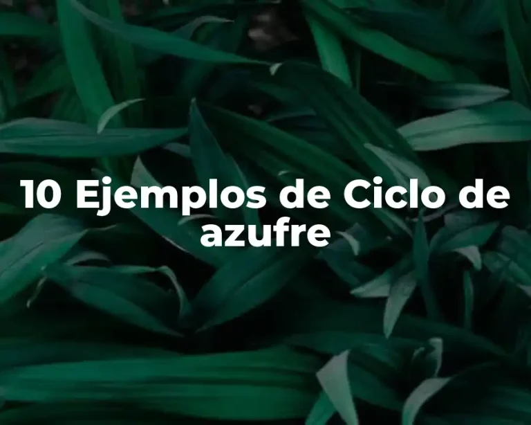 10 Ejemplos de Ciclo de azufre