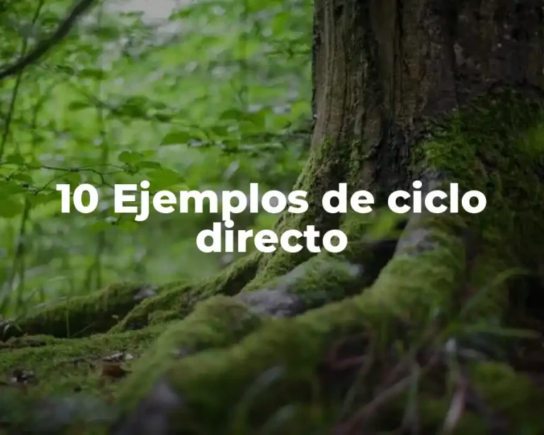 10 Ejemplos de ciclo directo