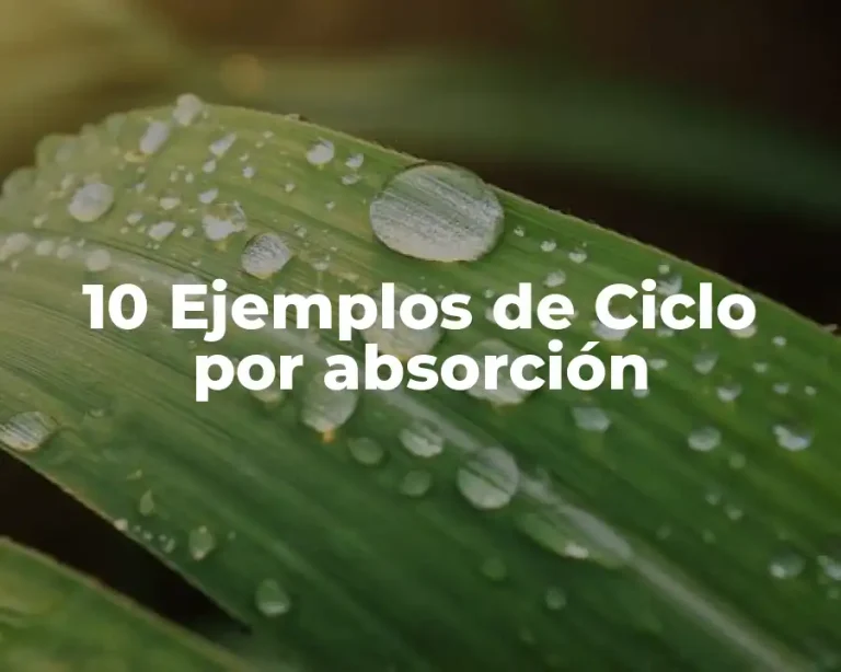 10 Ejemplos de Ciclo por absorción