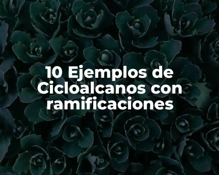 10 Ejemplos de Cicloalcanos con ramificaciones