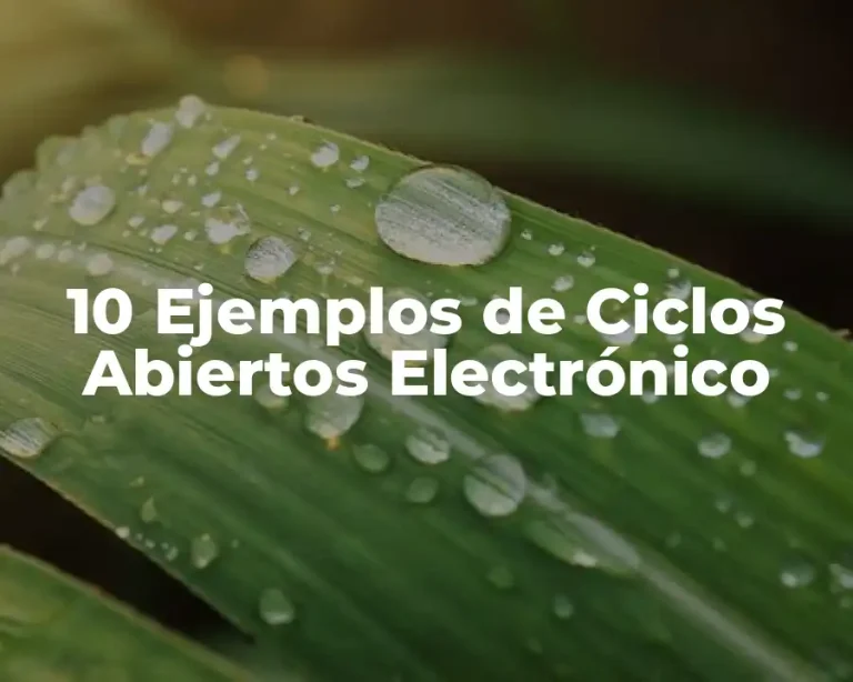 10 Ejemplos de Ciclos Abiertos Electrónico