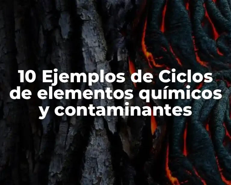 10 Ejemplos de Ciclos de elementos químicos y contaminantes