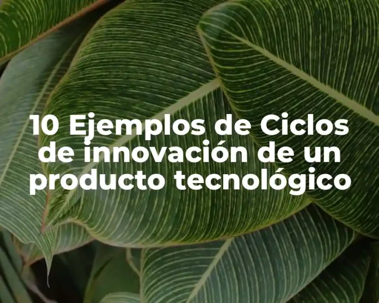 10 Ejemplos de Ciclos de innovación de un producto tecnológico
