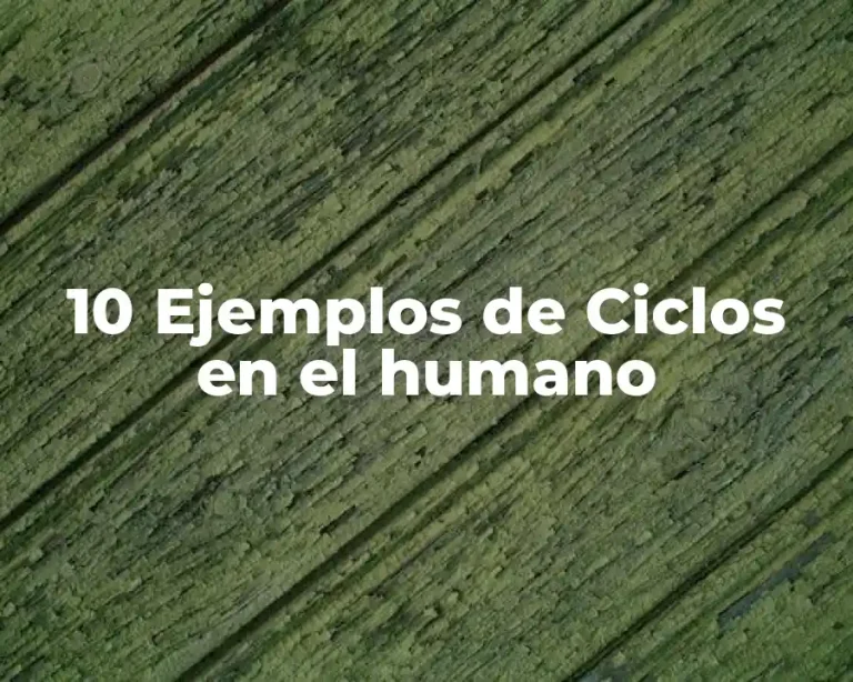 10 Ejemplos de Ciclos en el humano
