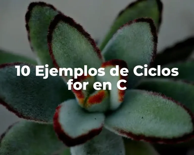 10 Ejemplos de Ciclos for en C
