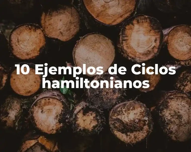10 Ejemplos de Ciclos hamiltonianos