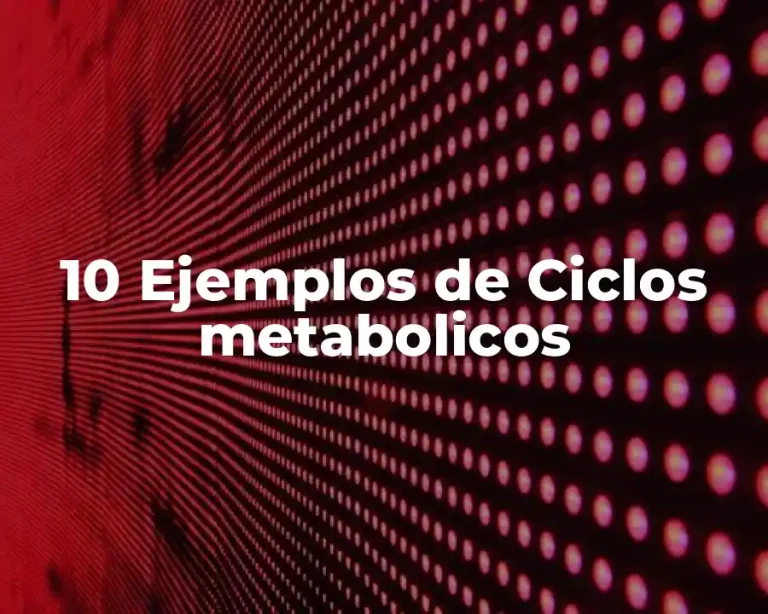 10 Ejemplos de Ciclos metabolicos