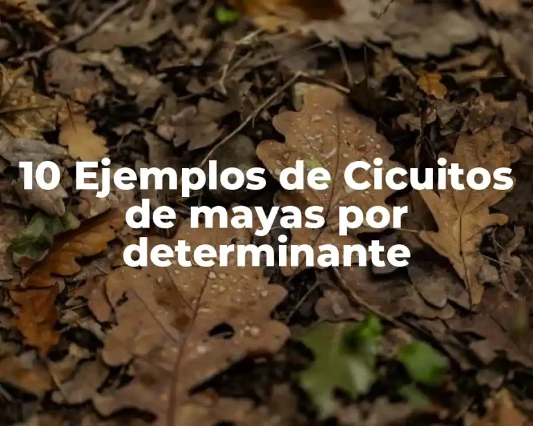 10 Ejemplos de Cicuitos de mayas por determinante