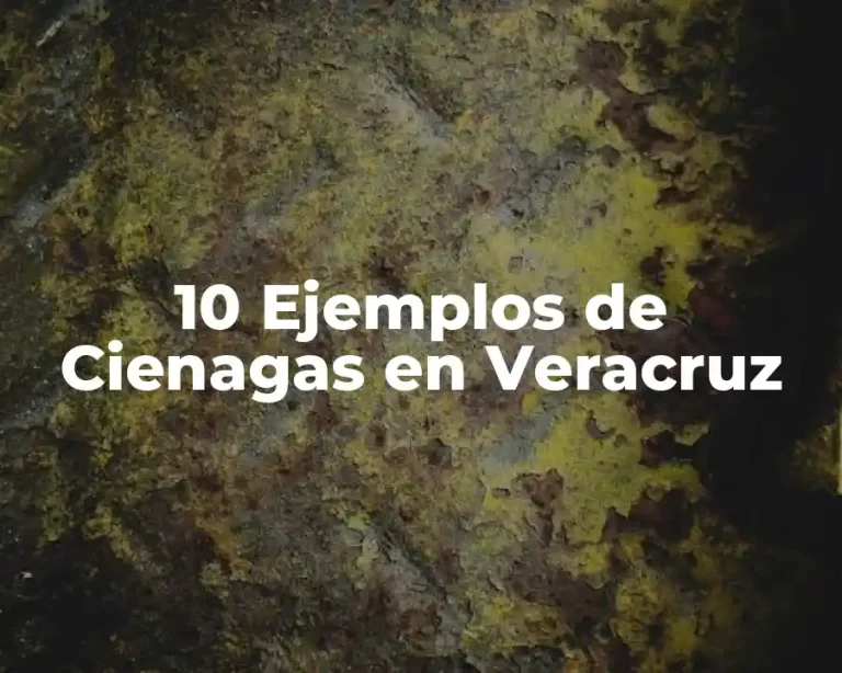 10 Ejemplos de Cienagas en Veracruz