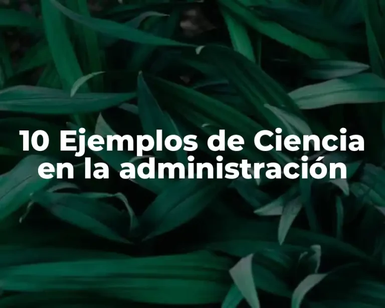 10 Ejemplos de Ciencia en la administración