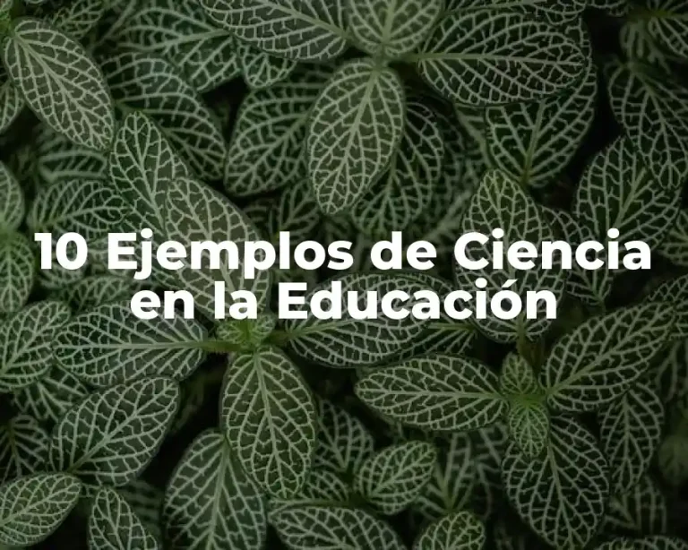 10 Ejemplos de Ciencia en la Educación